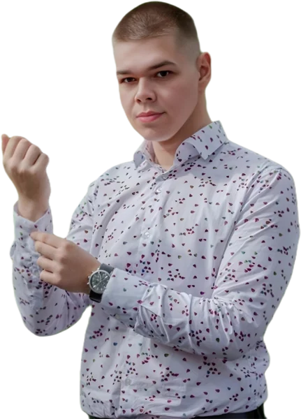 D. Svilenković, dizajner i developer