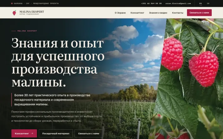 Demo predlog sajta: konsalting za proizvodnju maline, Srbija